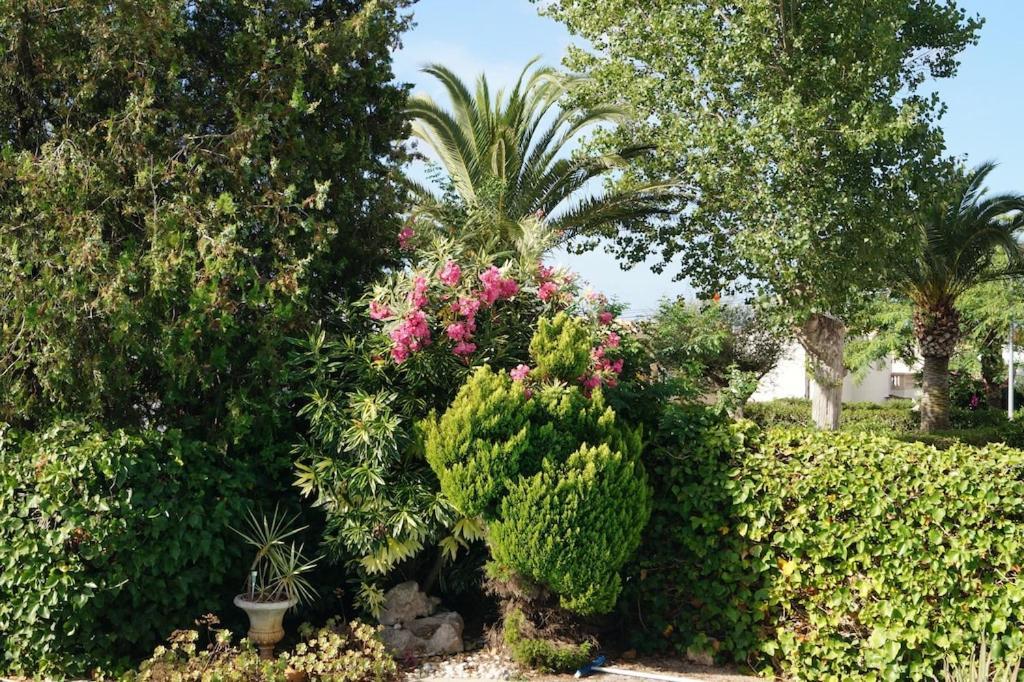 Villa Cala Mendia Cala Mandia (Mallorca)